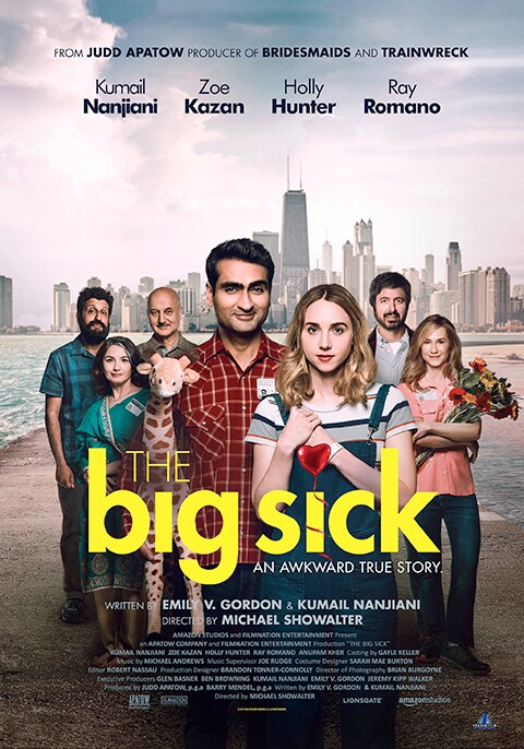 Image result for the big sick