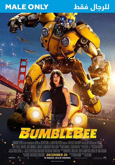 Bumblebee-Males Only