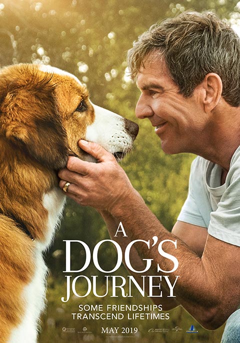 A Dog's journey | Now Showing | Book Tickets | VOX Cinemas Bahrain