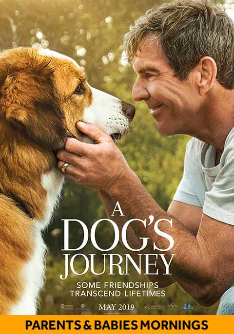 A Dog's journey-Parents & Babies Mornings