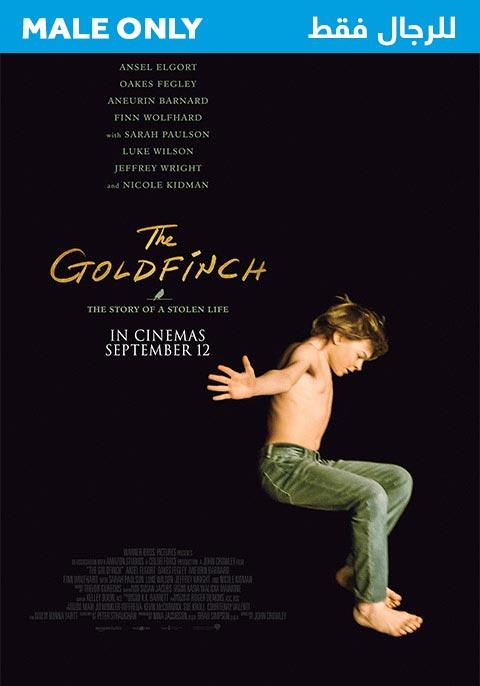 The Goldfinch - Males Only