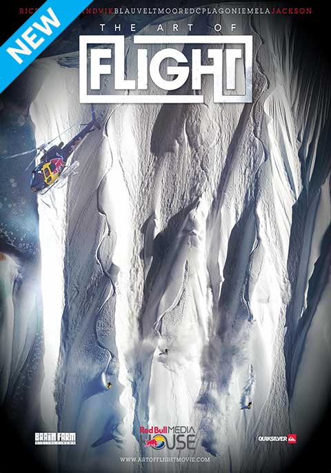 The Art of Flight