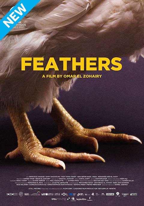 Feathers