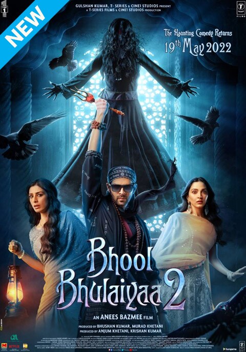 Bhool Bhulaiyaa 2 [Hindi]