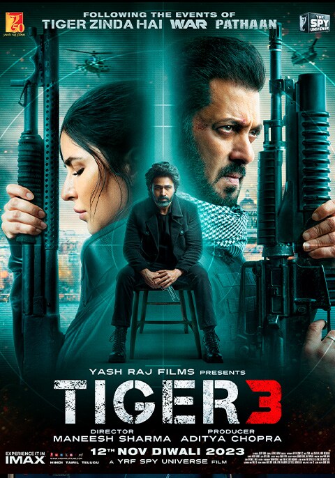 Tiger 3 [Hindi]