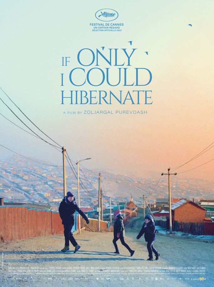 DFI at VOX: If Only I Can Hibernate