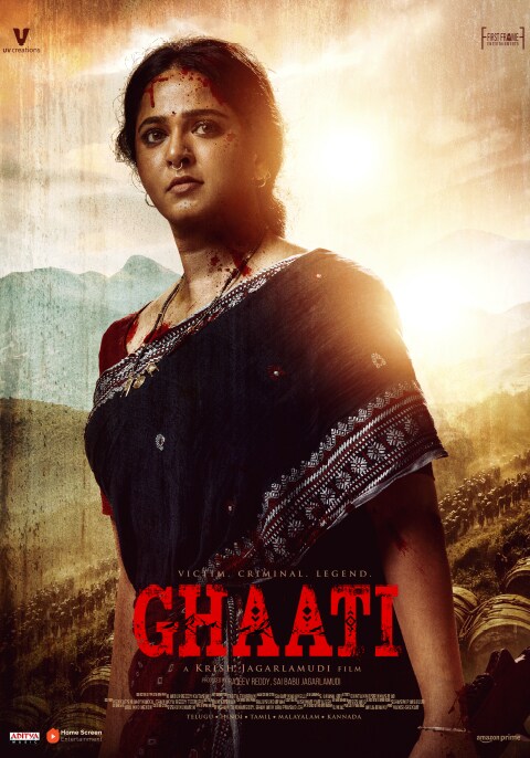 Movie poster for Ghaati