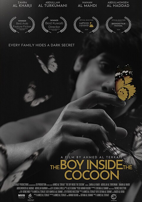 Movie poster for The Boy Inside the Cocoon