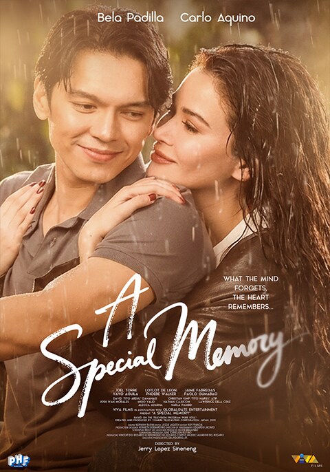 Movie poster for A Special Memory