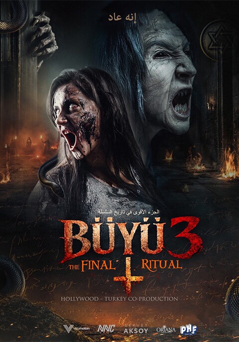 Buyu 3