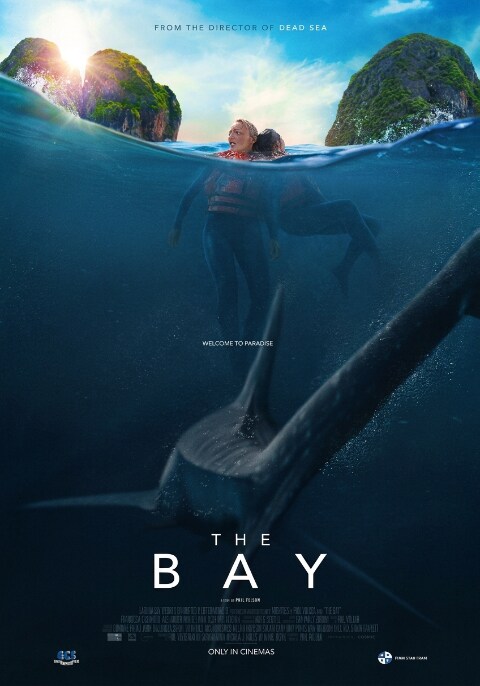 Movie poster for The Bay