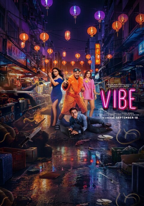 Movie poster for Vibe