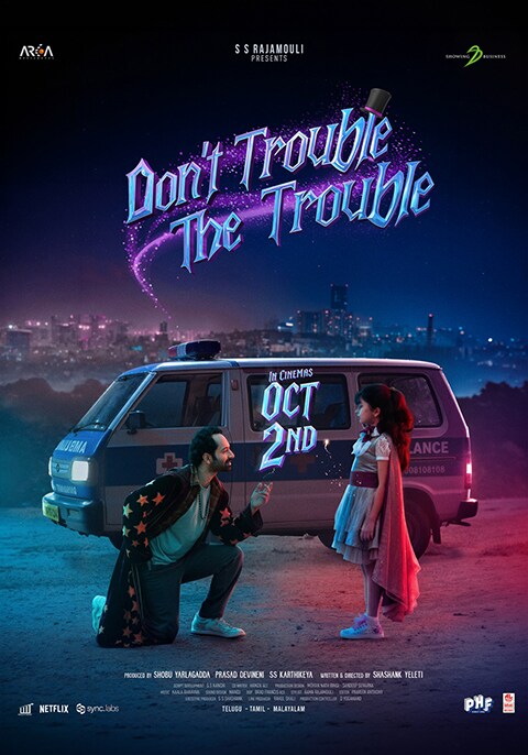 Don't Trouble The Trouble