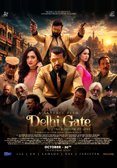 Delhi Gates